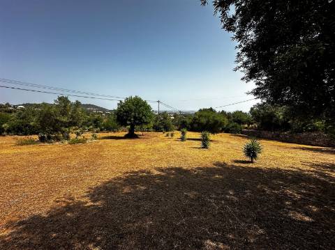 Terreno Rústico  Venda em Santa Bárbara de Nexe,Faro