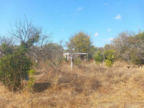 Terreno Rústico  Venda em Boliqueime,Loulé