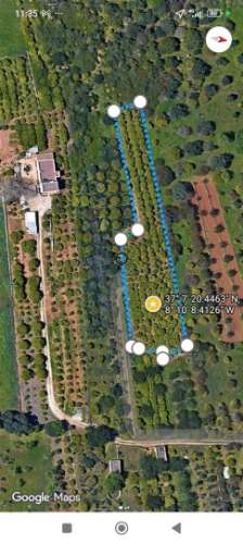 Terreno Rústico  Venda em Boliqueime,Loulé