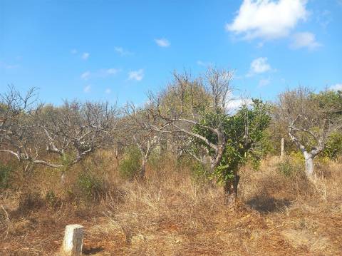 Terreno Rústico  Venda em Boliqueime,Loulé