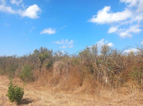 Terreno Rústico  Venda em Boliqueime,Loulé