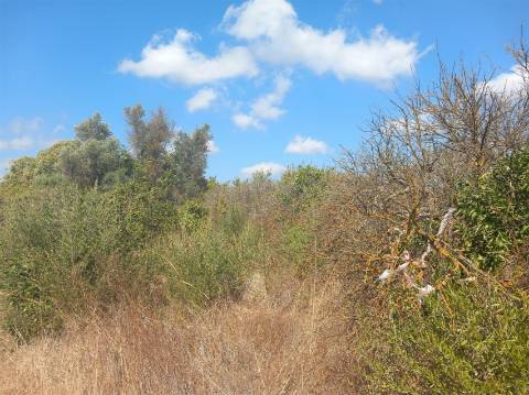 Terreno Rústico  Venda em Boliqueime,Loulé