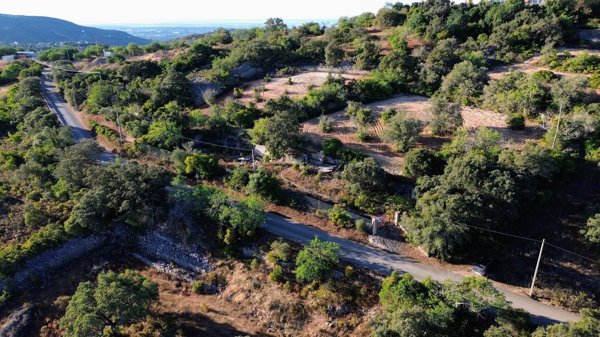 Terreno Rústico  Venda em São Brás de Alportel,São Brás de Alportel