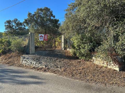 Terreno Rústico  Venda em São Brás de Alportel,São Brás de Alportel