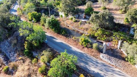 Terreno Rústico  Venda em São Brás de Alportel,São Brás de Alportel