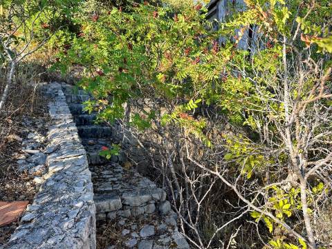 Terreno Rústico  Venda em São Brás de Alportel,São Brás de Alportel
