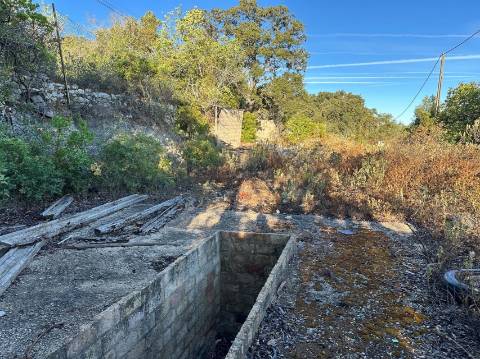 Terreno Rústico  Venda em São Brás de Alportel,São Brás de Alportel