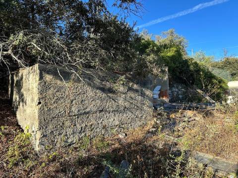 Terreno Rústico  Venda em São Brás de Alportel,São Brás de Alportel