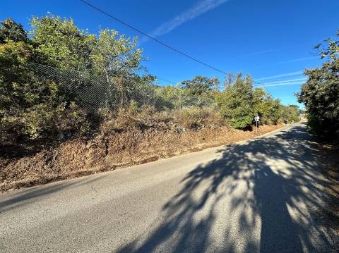 Terreno Rústico  Venda em São Brás de Alportel,São Brás de Alportel