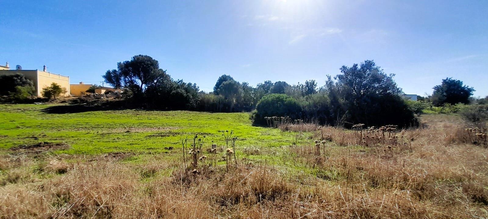 Terreno Rústico  Venda em Almancil,Loulé