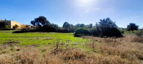 Terreno Rústico  Venda em Almancil,Loulé