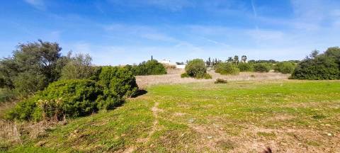 Terreno Rústico  Venda em Almancil,Loulé