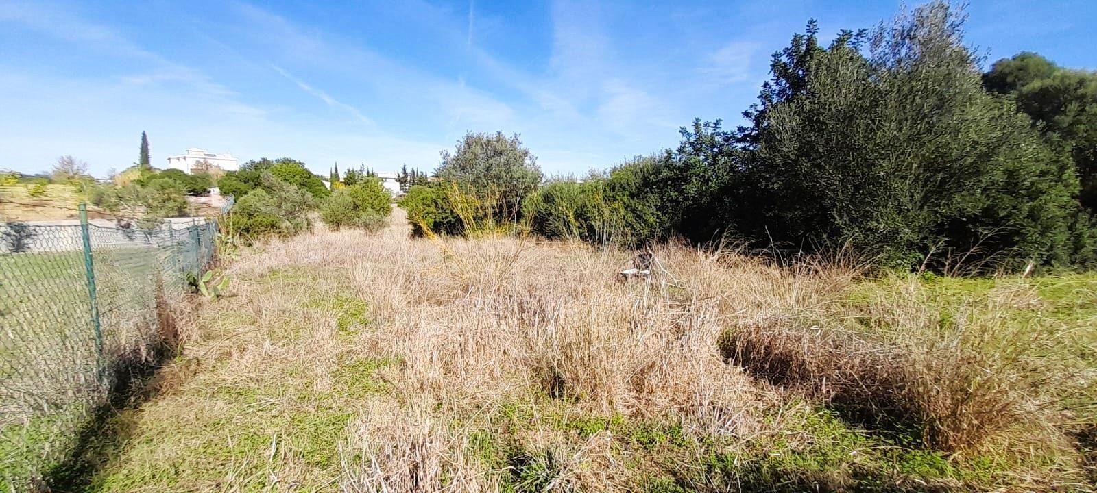 Terreno Rústico  Venda em Almancil,Loulé