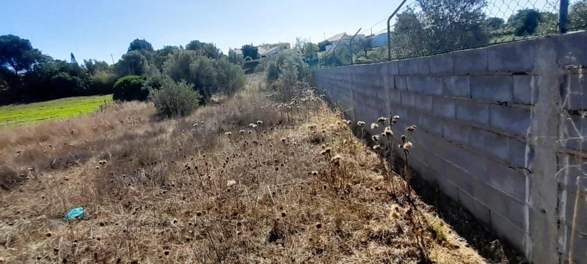 Terreno Rústico  Venda em Almancil,Loulé
