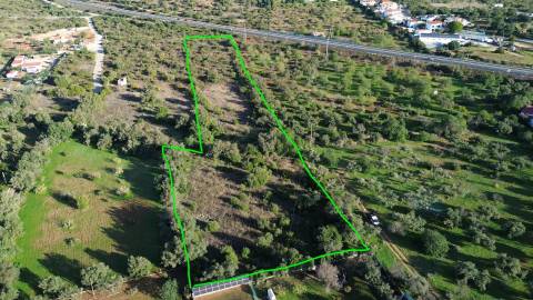 Terreno Rústico  Venda em Loulé (São Sebastião),Loulé