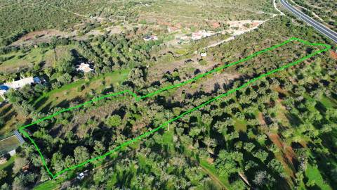 Terreno Rústico  Venda em Loulé (São Sebastião),Loulé