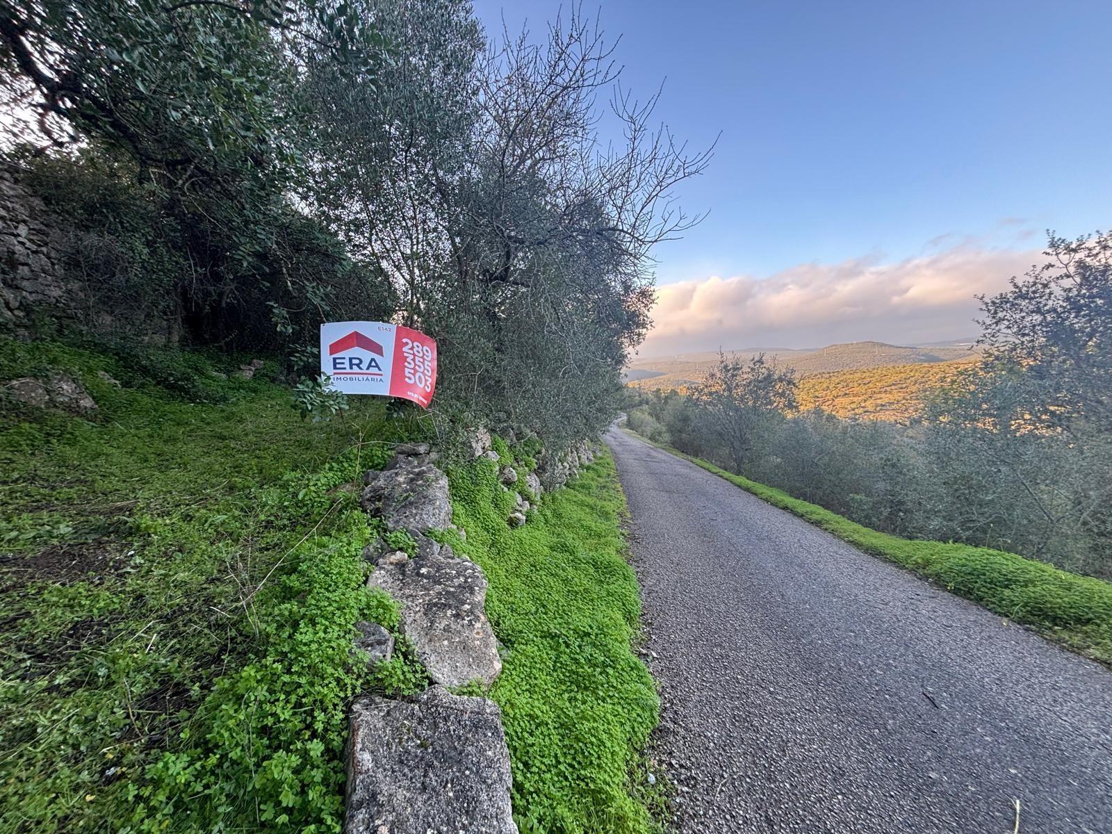 Terreno Rústico  Venda em Boliqueime,Loulé