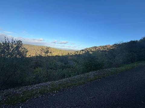 Terreno Rústico  Venda em Boliqueime,Loulé