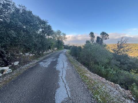 Terreno Rústico  Venda em Boliqueime,Loulé