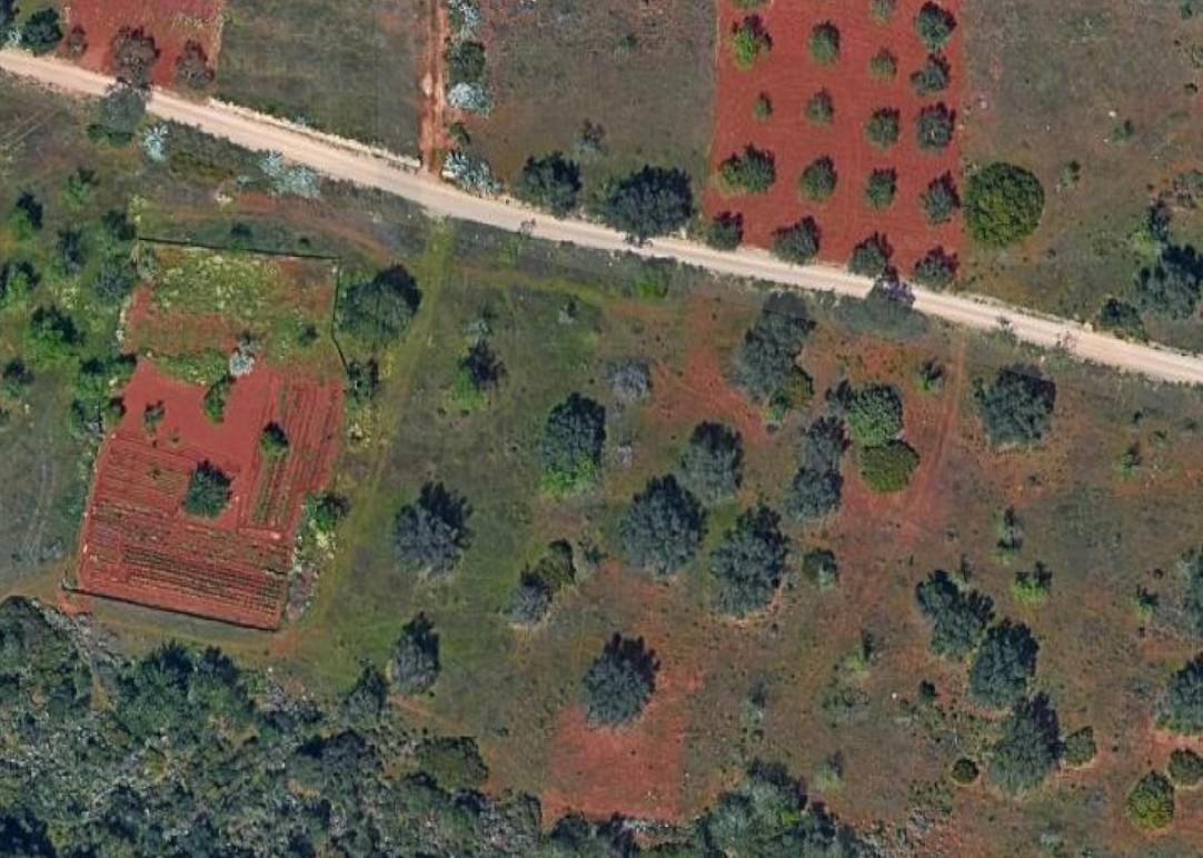 Terreno Rústico  Venda em Loulé (São Sebastião),Loulé