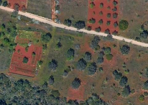 Terreno Rústico  Venda em Loulé (São Sebastião),Loulé