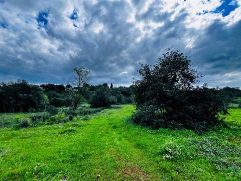 Terreno Rústico  Venda em Loulé (São Sebastião),Loulé