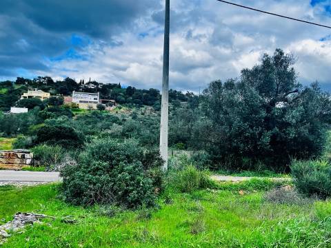 Terreno Rústico  Venda em Loulé (São Sebastião),Loulé