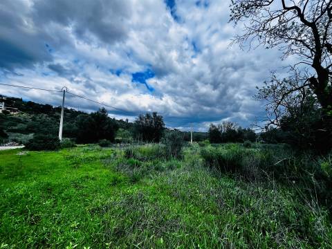 Terreno Rústico  Venda em Loulé (São Sebastião),Loulé