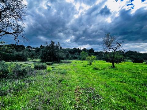 Terreno Rústico  Venda em Loulé (São Sebastião),Loulé