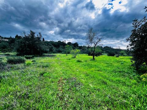 Terreno Rústico  Venda em Loulé (São Sebastião),Loulé