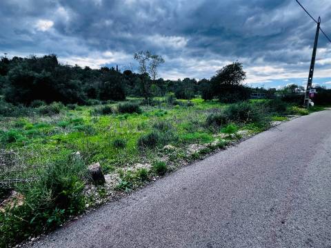 Terreno Rústico  Venda em Loulé (São Sebastião),Loulé