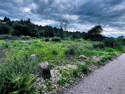 Terreno Rústico  Venda em Loulé (São Sebastião),Loulé