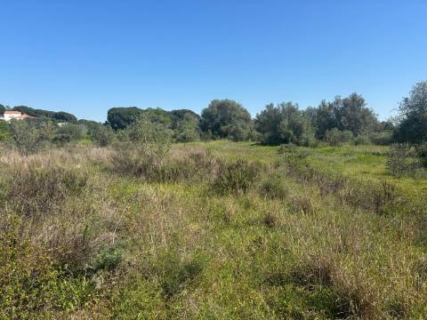 Terreno Rústico  Venda em Almancil,Loulé