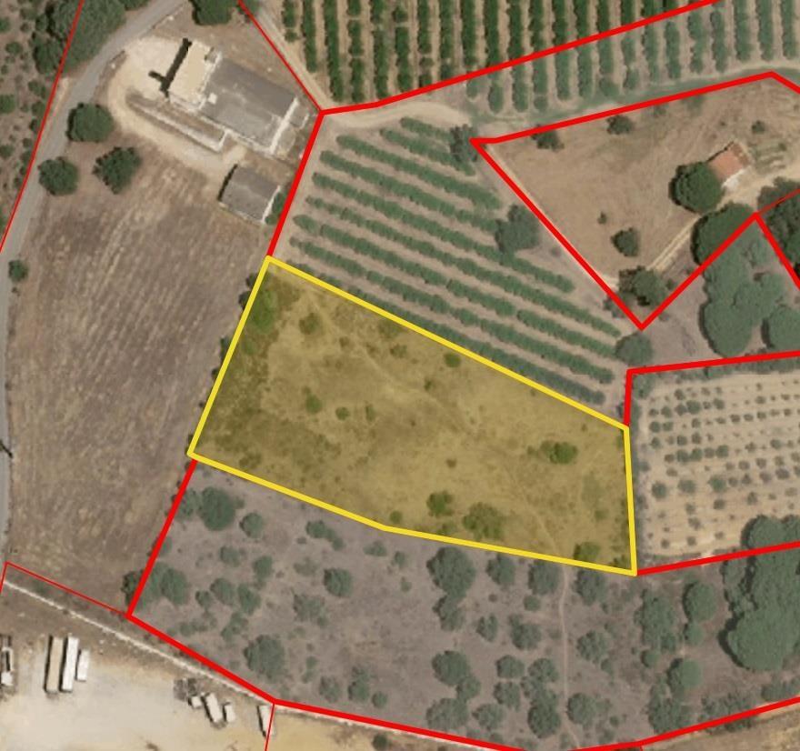 Terreno Rústico  Venda em Almancil,Loulé