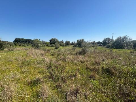 Terreno Rústico  Venda em Almancil,Loulé