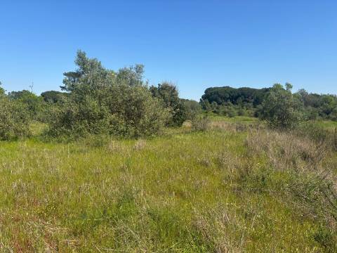 Terreno Rústico  Venda em Almancil,Loulé