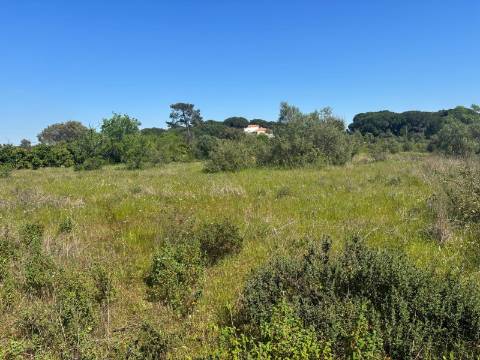 Terreno Rústico  Venda em Almancil,Loulé