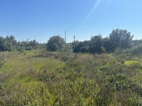 Terreno Rústico  Venda em Almancil,Loulé
