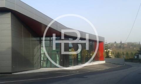 Armazém  Arrendamento em Carreira e Fonte Coberta,Barcelos