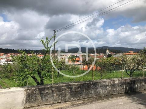 Lote de Terreno  Venda em Silva,Barcelos