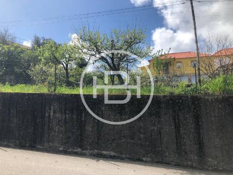 Lote de Terreno  Venda em Silva,Barcelos