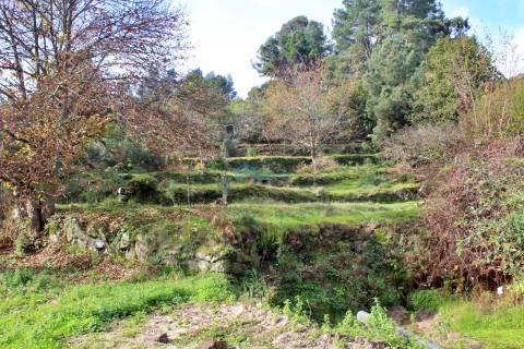 Terreno em Mondrões