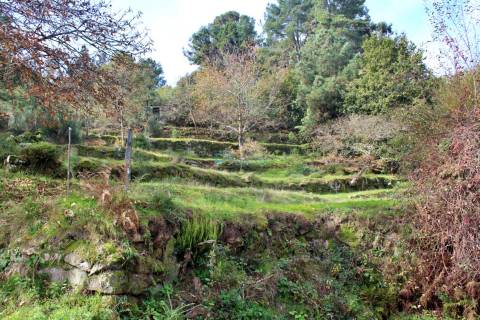 Terreno em Mondrões