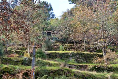 Terreno em Mondrões