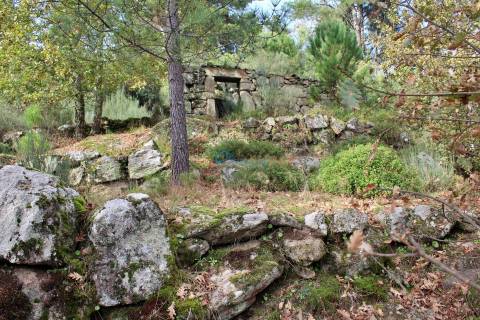 Terreno em Mondrões