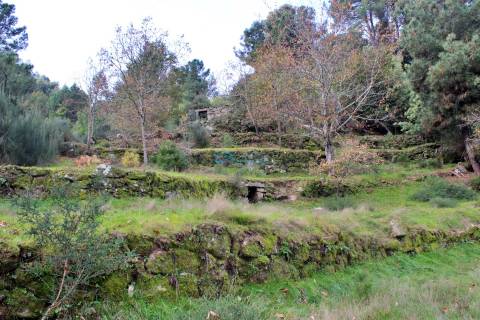 Terreno em Mondrões
