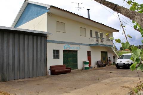 Quinta com vinha e olival.