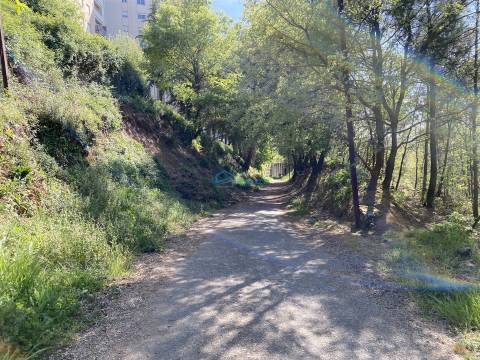 Terreno para construção em altura Vila Real.