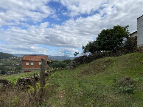 Terreno  Venda em Parada de Pinhão,Sabrosa