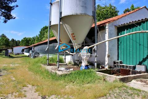 Terreno com exploração de cunicultura
